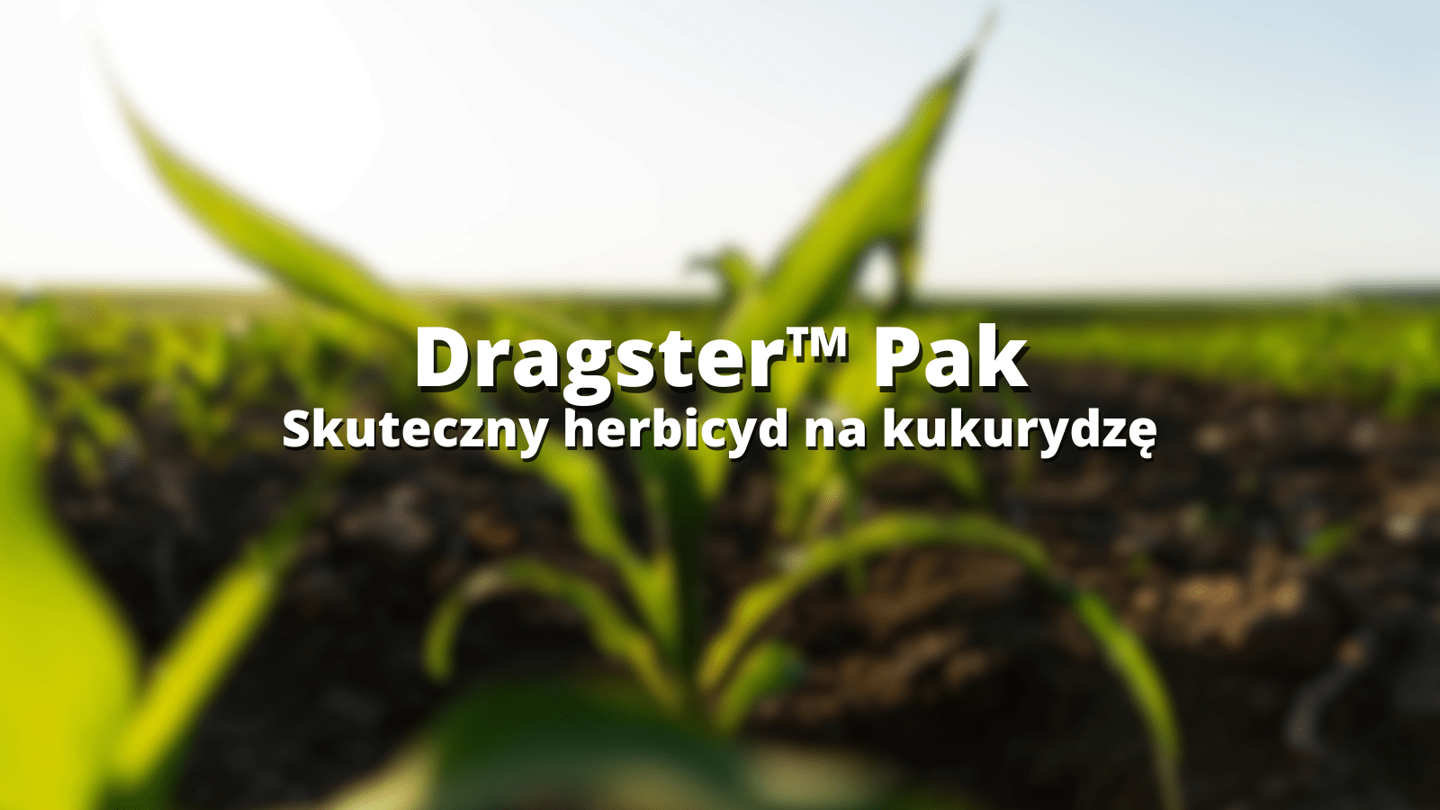 Dragster Pack_herbicyd na kukurydze - wpis
