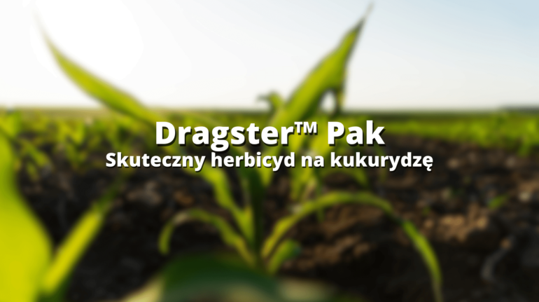 Dragster Pack_herbicyd na kukurydze - wpis