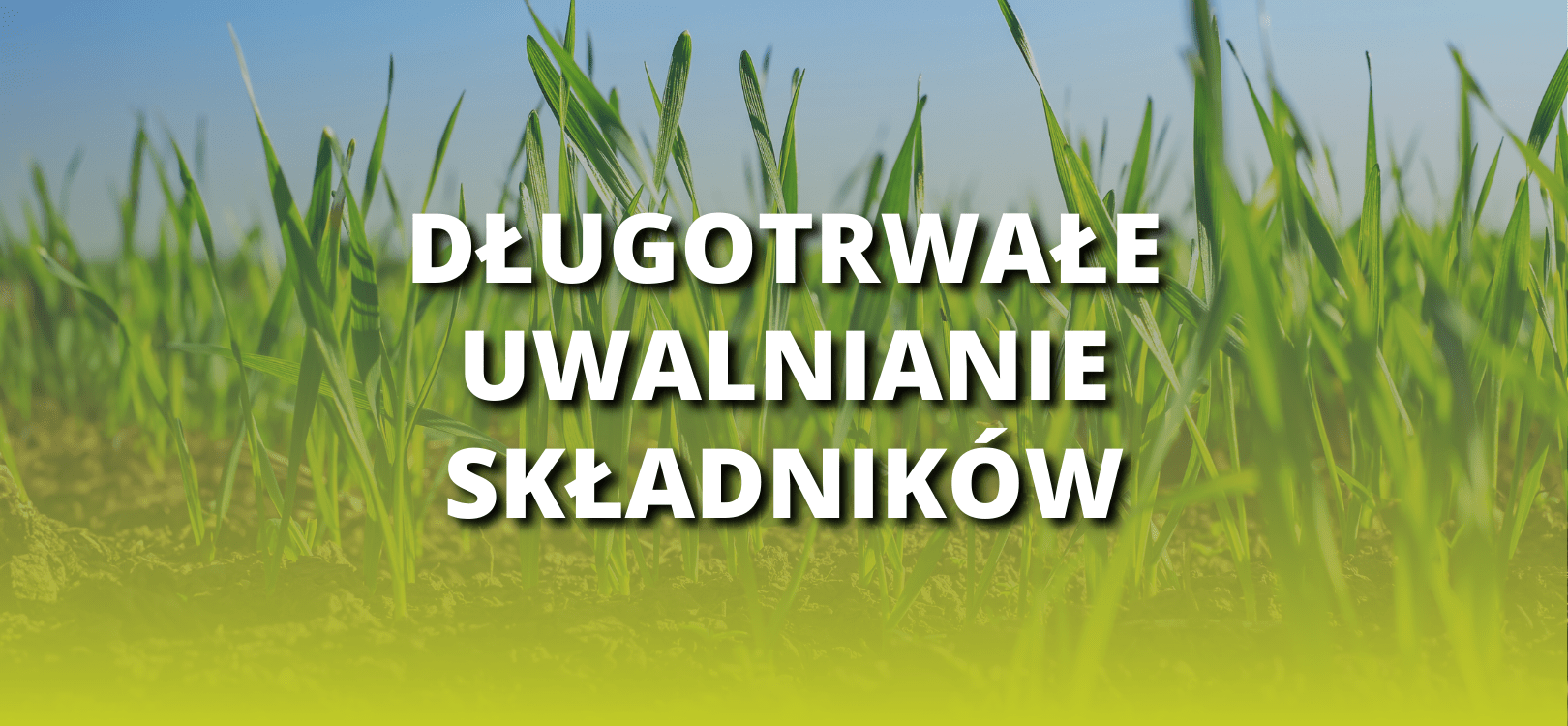 asl-dlugotrwale