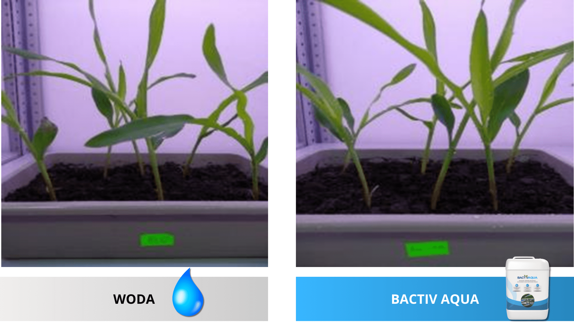 bactiv-aqua-2