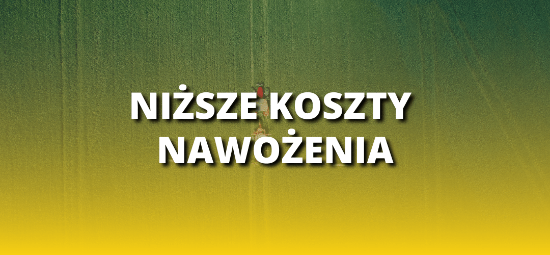 msa-nizsze-koszty